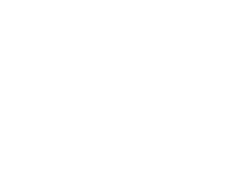 BeLink